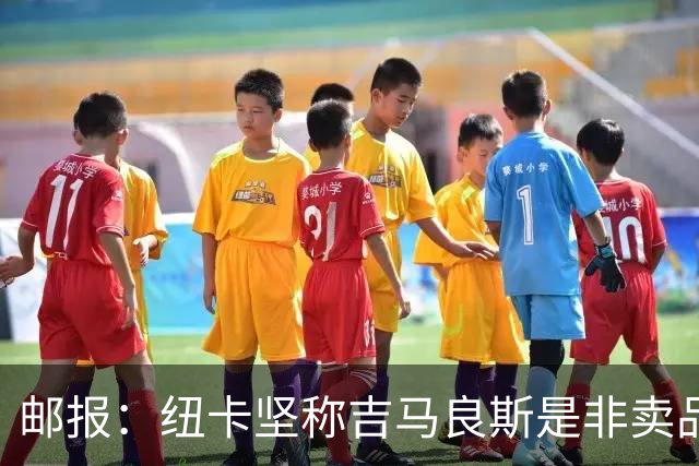 邮报：纽卡坚称吉马良斯是非卖品 阿森纳准备进行第二次报价